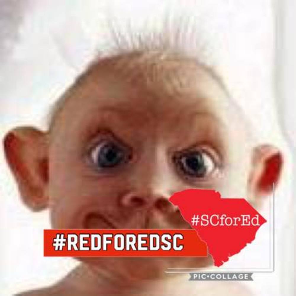 Meet your Posher, Dawn